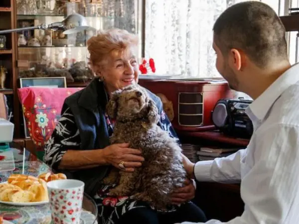 Aged care