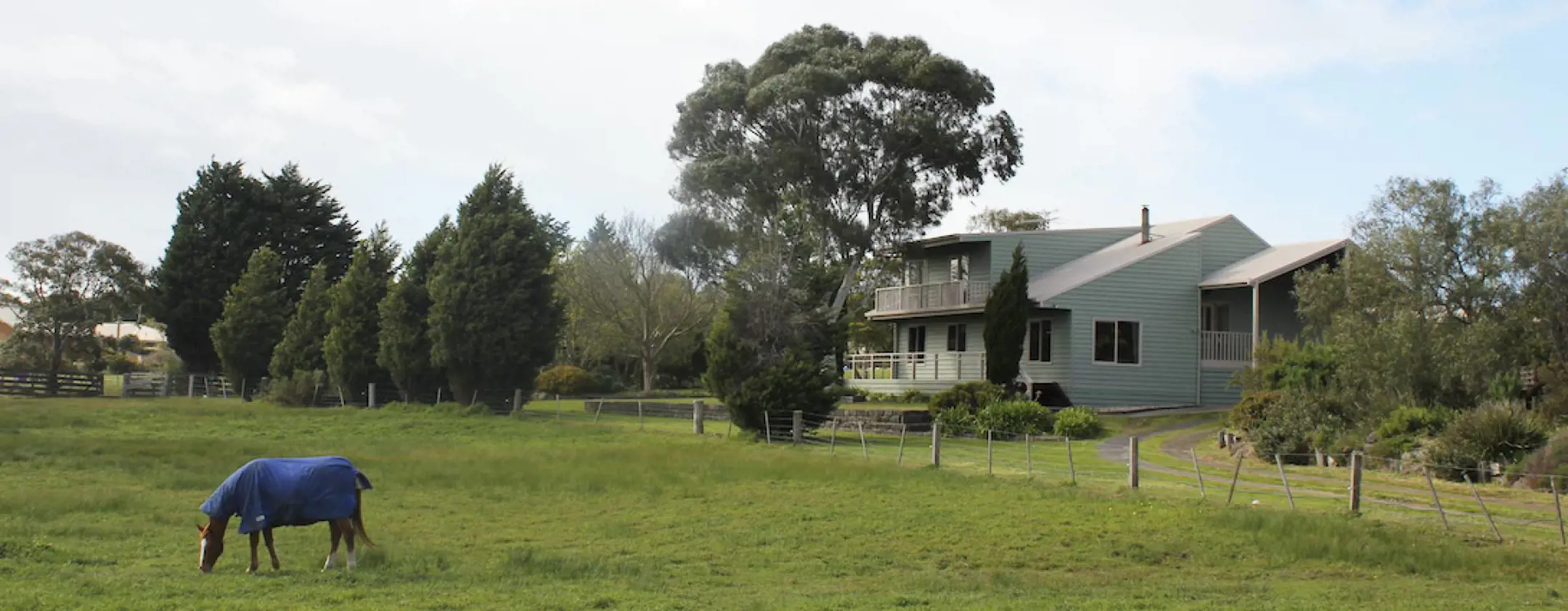 A photo of 'The Ranch' with a horse eating grass out the front.